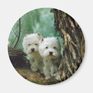 Zest and Donna(Mother and Daughter Take 2) Magnet