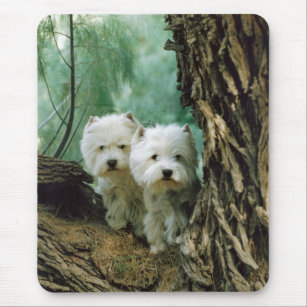Zest and Donna(Mother and Daughter Take 2) Mouse Mat
