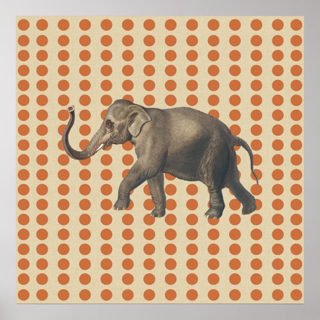 Zest Spice Moods Dots with Elephant Poster (Front)
