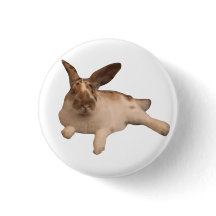 Zesty Paddy Badge
