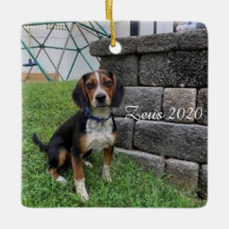 Zeus 2020 Christmas Ornament