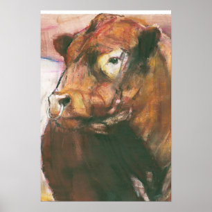 Zeus Red Belted Galloway Bull 2006  2 Poster
