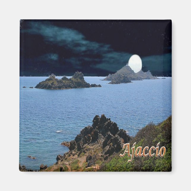 zFR127 AJACCIO panorama, Corsica, Fridge Magnet (Front)