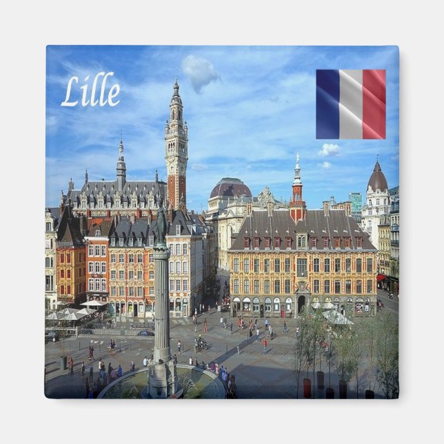 zFR136 panorama of LILLE, France, Europe, Fridge Magnet (Front)