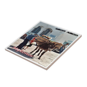zGR119 MYKONOS Donkey, Greece, Tile
