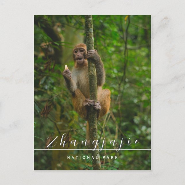 Zhangjajie national park postcard  (Front)