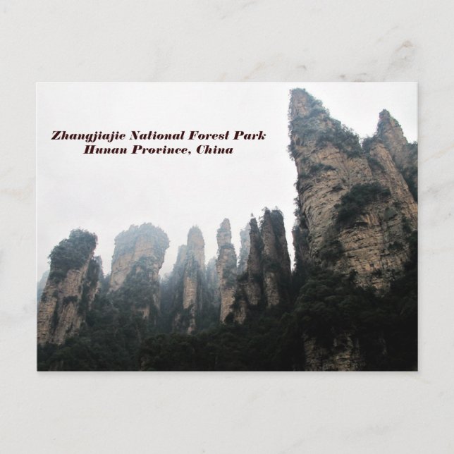 Zhangjiajie National Forest Park, Hunan China Postcard (Front)