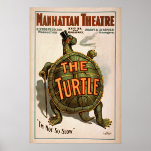 ZIEGFELD'S The TURTLE Play VAUDEVILLE Poster