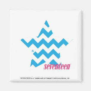 ZigZag Aqua 2 Magnet