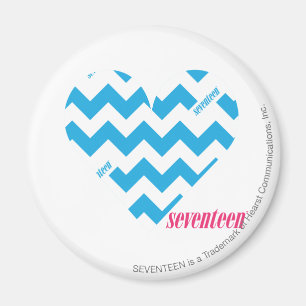 ZigZag Aqua 4 Magnet