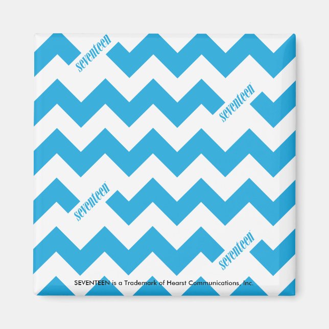 ZigZag Aqua Magnet (Front)