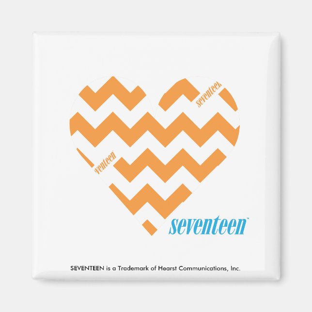 ZigZag Orange 2 Magnet (Front)