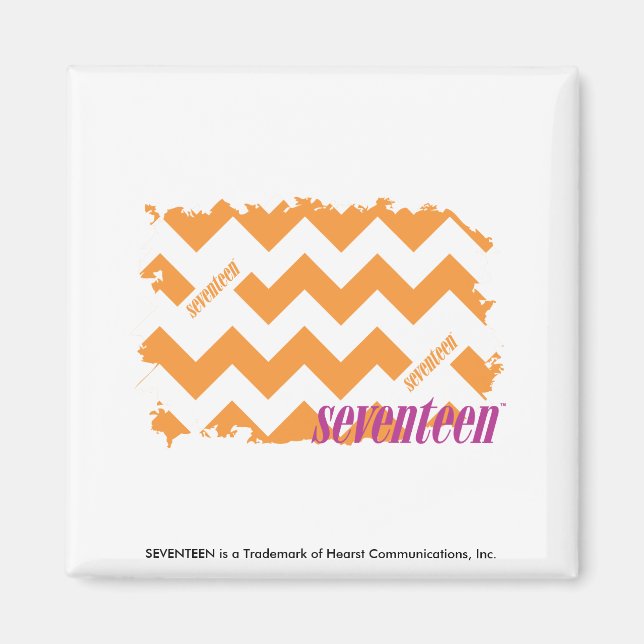 ZigZag Orange 4 Magnet (Front)