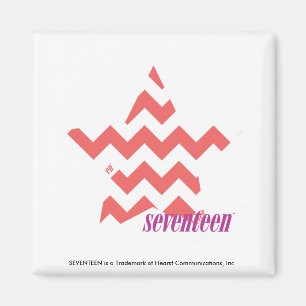 ZigZag Pink 4 Magnet
