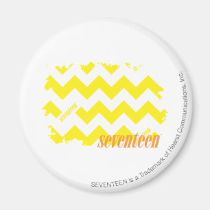 ZigZag Yellow 2 Magnet