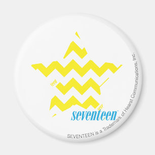 ZigZag Yellow 3 Magnet