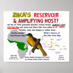 Zika's Reservoir & Amplifying Host by RoseWrites Poster