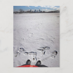Zilker Park Snow - Austin Texas Downtown Skyline Postcard