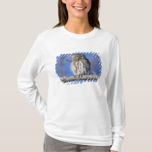 Zimbabwe. Close-up of pearl spotted owl T-Shirt