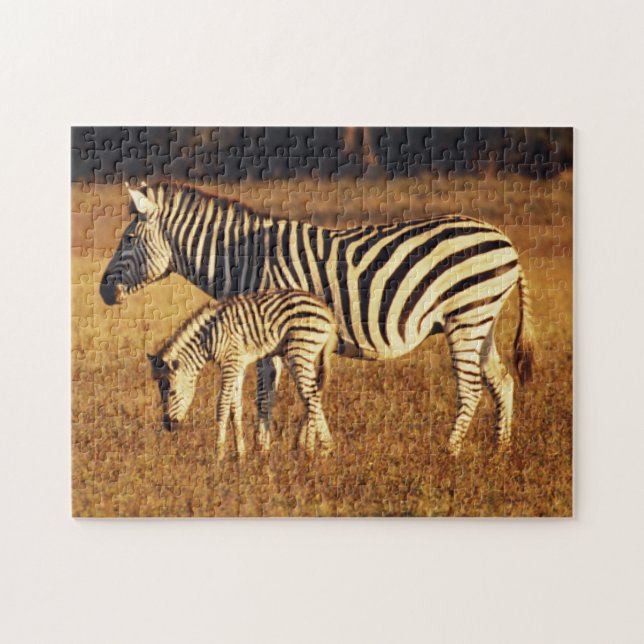 Zimbabwe, Hwange National Park, Linkwasha Jigsaw Puzzle (Horizontal)
