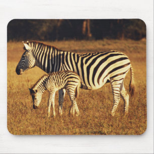 Zimbabwe, Hwange National Park, Linkwasha Mouse Mat