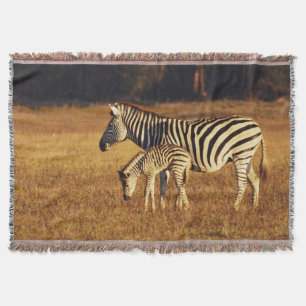Zimbabwe, Hwange National Park, Linkwasha Throw Blanket