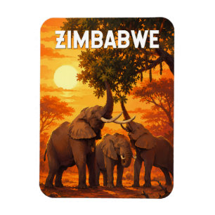 Zimbabwe Illustration Travel Art Vintage Magnet