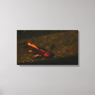 Zin Canvas Print