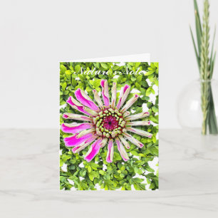 ZINNIA BOXWOOD PHOTO FLORAL NOTE CARD