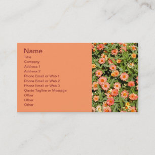 Zinnia Business Card