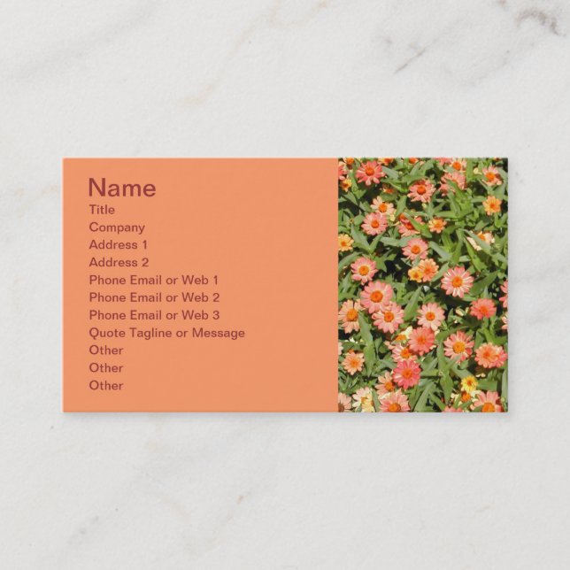 Zinnia Business Card (Front)