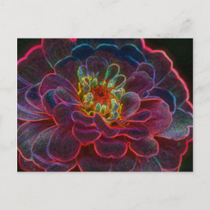 Zinnia Digital Art Flower Photography Postcard