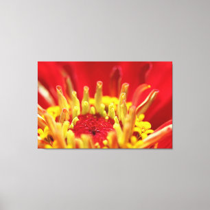 Zinnia Flower Heart Canvas Print