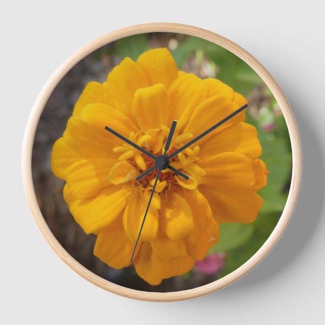 Zinnia Flower Photo Wall Clock (Front)
