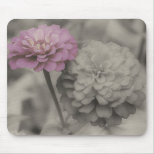 Zinnia Flowers Close Up Black And White Mousepad