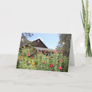 Zinnia Garden Note Card <Blank Inside>