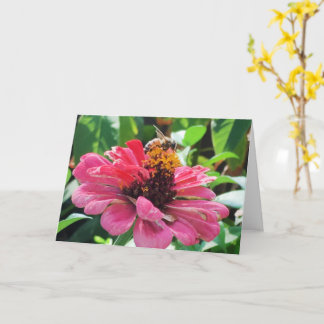 Zinnia Honey Bee Card