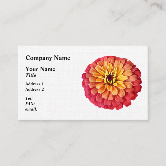 Zinnia in Shades of Orange Business Card (Front)