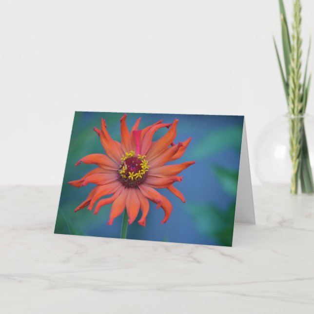 Zinnia Note Card (Front)