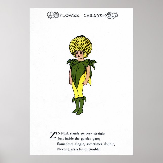 Zinnia Poster (Front)