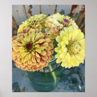 Zinnia Queen Lime Blush Poster