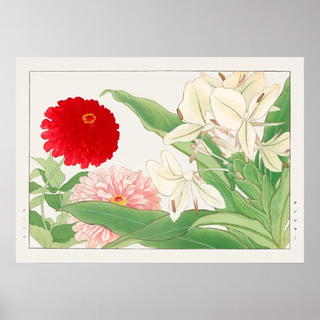 Zinnia & White Ginger Lily Flower, Tanigami Konan, Poster (Front)
