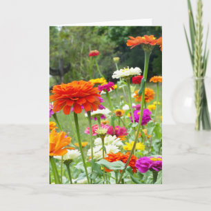 "Zinnias 2." Greeting Card