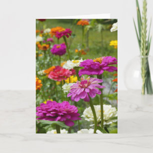 "Zinnias 3." Greeting Card