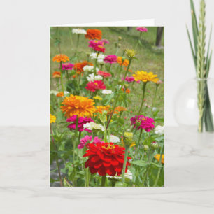 "Zinnias 4." Greeting Card