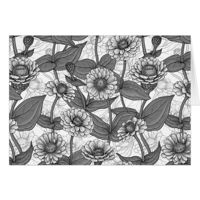 Zinnias, monochome on white (Front Horizontal)