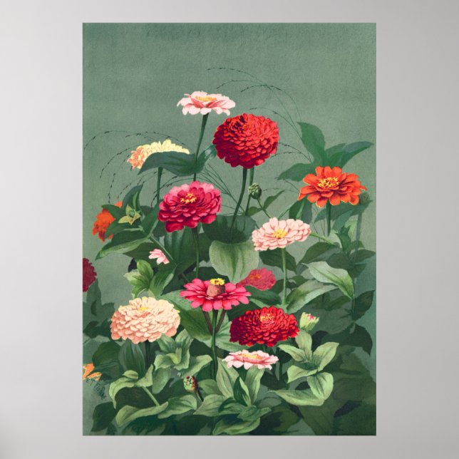 Zinnias Poster (Front)