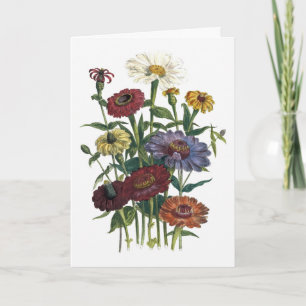 Zinnias Watercolor Sympathy Card