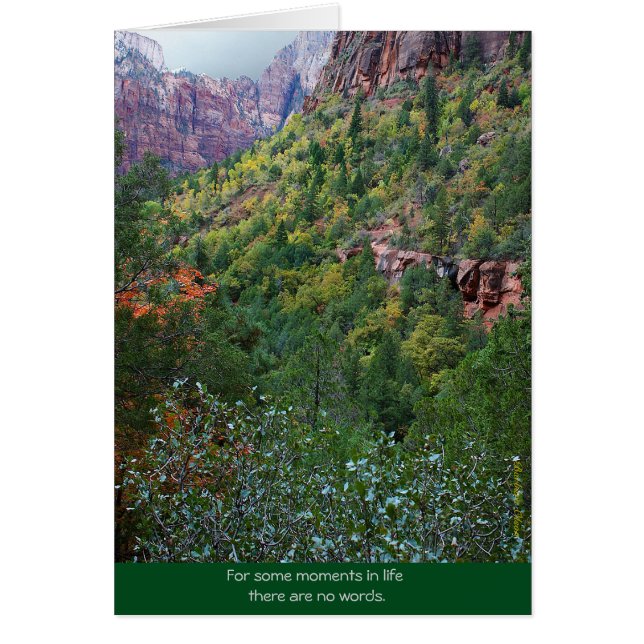 Zion Canyon: Bereavement (Front)
