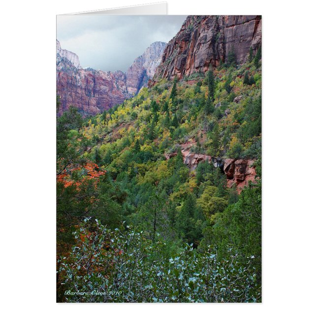 Zion Canyon National Park (Front)